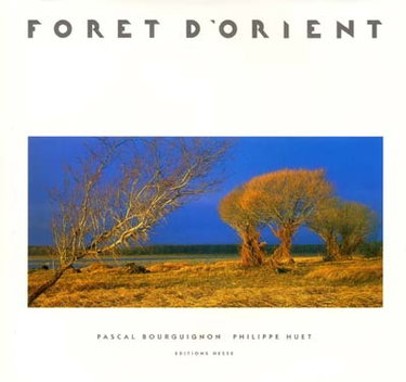 Couverture de Forêt d'Orient