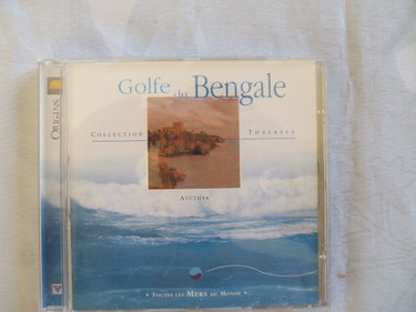 Couverture de Golfe du Bengale