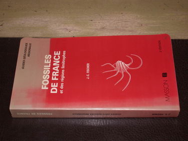 Fossiles de France et des régions limitrophes