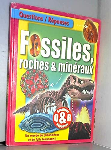 Questions/Réponses: Fossiles, roches et minéraux