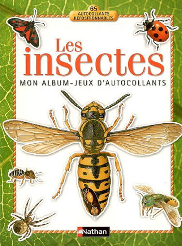 Les insectes