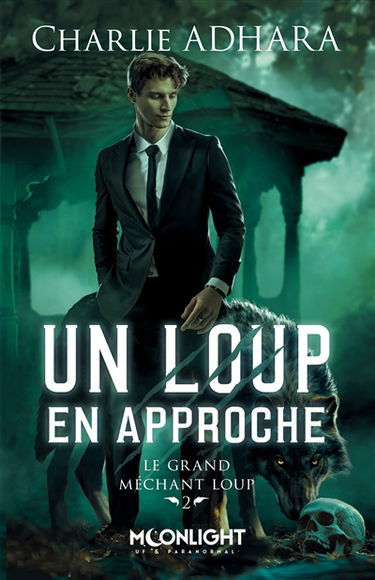 Un loup en approche : Le grand méchant loup 2
