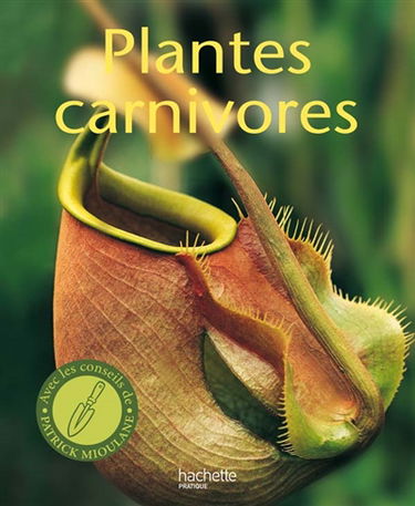 Plantes carnivores