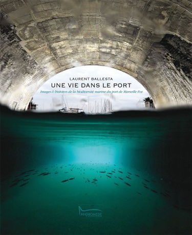 Une vie dans le port
