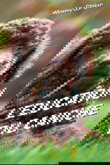 L'EDUCATION DU CANICHE: Toutes les astuces pour un Caniche bien éduqué