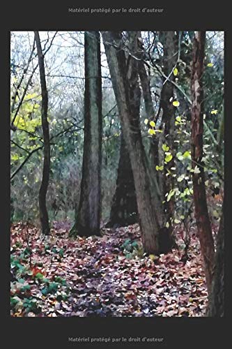 Un yéti dans sa grotte et autres nouvelles