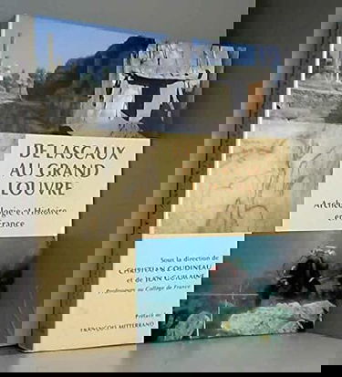 De Lascaux au Grand Louvre : archéologie et histoire en France