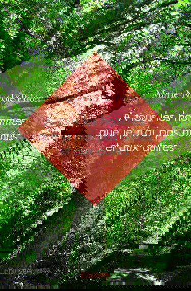 À tous les hommes que je n'ai pas aimés et aux autres