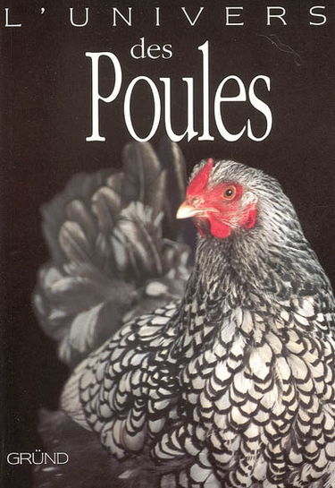 L'univers des poules