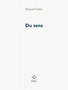 Du sens : dans ses rapports avec l'origine, le temps, l'histoire, l'étymologie, la morale, la culture, la littérature, l'éducation, la nationalité, l'immigration, l'affaire Camus, etc
