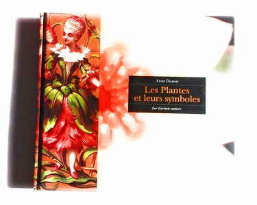 Les plantes et leurs symboles : Les carnets du jardin