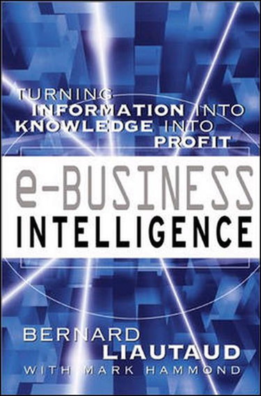 Couverture de E-Business Intelligence: Turning Information into Knowledge into Profit