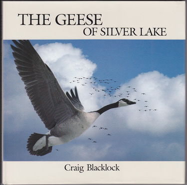The Geese of Silver Lake