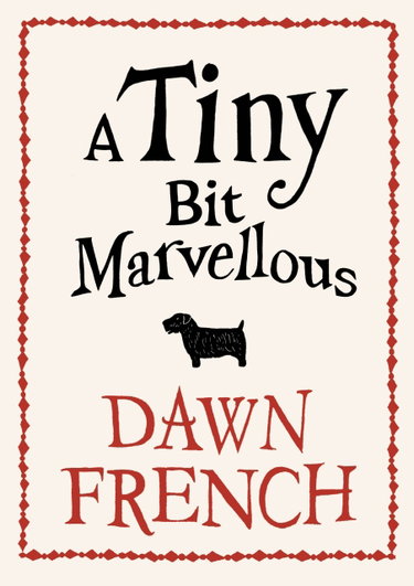 Couverture de A Tiny Bit Marvellous