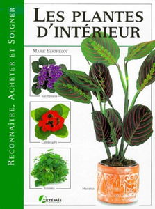Les plantes d'intérieur