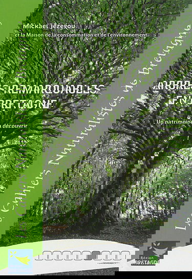 Arbres remarquables en Bretagne : un patrimoine à découvrir