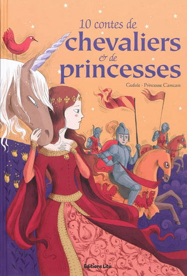 10 contes de chevaliers et de princesses
