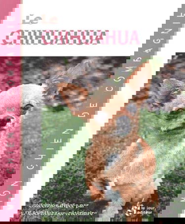 Le Chihuahua