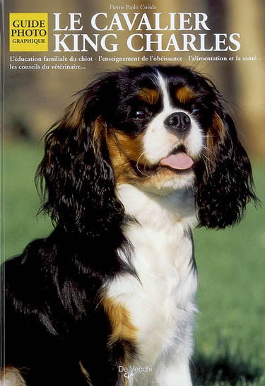 Le cavalier king Charles