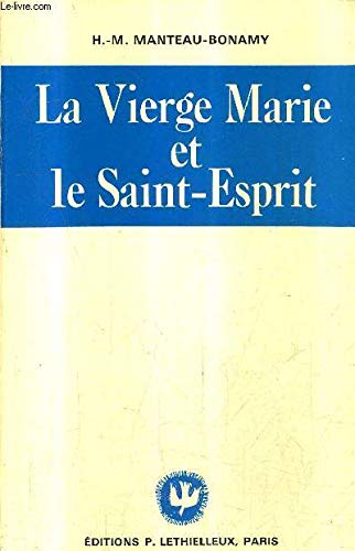 Couverture de LA VIERGE MARIE ET LE SAINT ESPRIT - COMMENTAIRE DOCTRINAL ET SPIRITUEL DU CHAPITRE HUITIEME DE LA CONSTITUTION DOGMATIQUE LUMEN GENTIUM - 2E EDITION / COLLECTION VIE SPIRITUELLE ET VIE INTERIEURE.