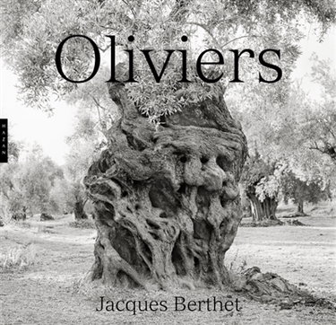 Couverture de Oliviers