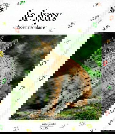 Le lynx : chasseur solitaire