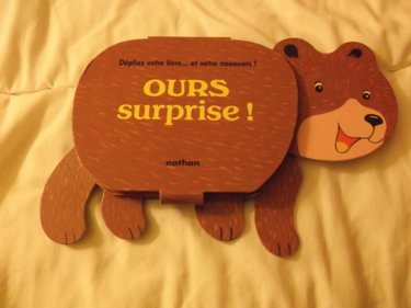 Couverture de Ours surprise !