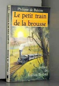 Train de la brousse(petit)
