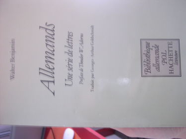 Allemands : Une série de lettres (Bibliothèque allemande)