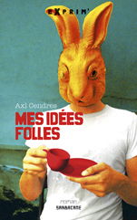 Mes idées folles