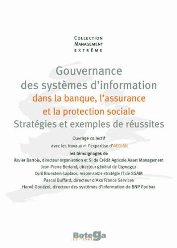 La gouvernance des systèmes d'information