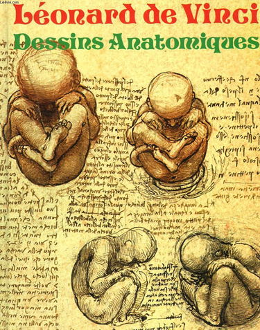 Dessins anatomiques - Léonard de Vinci