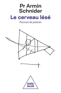 Le cerveau lésé : parcours de patients