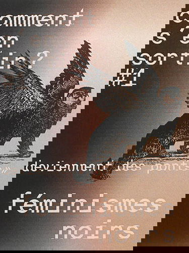 Comment s'en sortir ?, n° 1. Féminismes noirs : les murs renversés deviennent des ponts