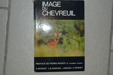 Image du chevreuil