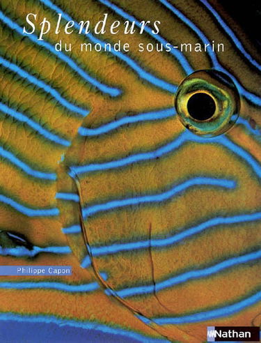 Splendeurs du monde sous-marin