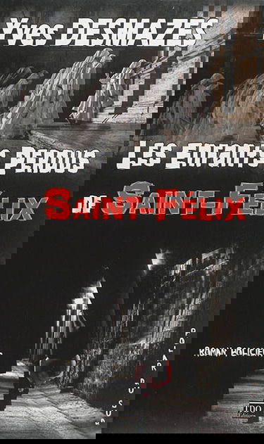 Les enfants perdus de Saint-Félix : roman policier