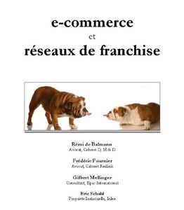 e-commerce et réseaux de franchise