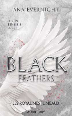 Black feathers. Vol. 3. Les royaumes jumeaux