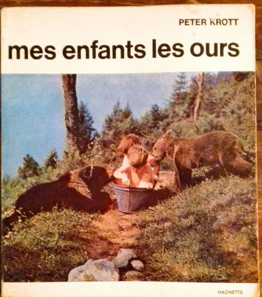 Mes enfants les ours.