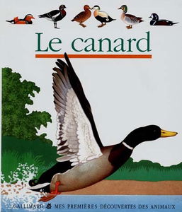 Le canard