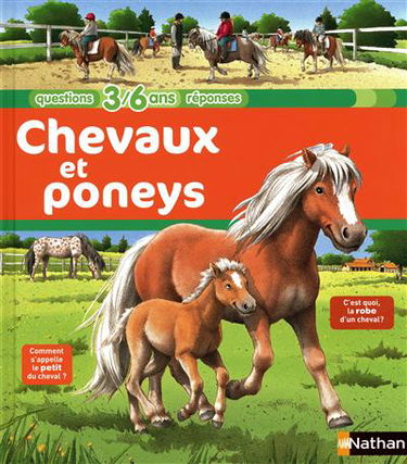 Chevaux et poneys