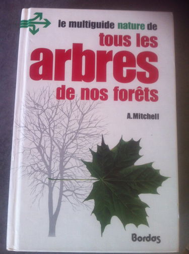 Tous arbres forets 092193