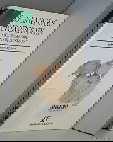 Les Amours indiennes ou l'Imaginaire du Conquistador