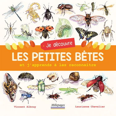 Je découvre les petites bêtes : et j'apprends à les reconnaître