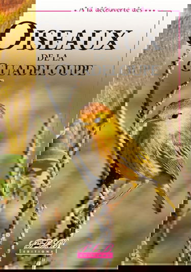 Oiseaux de la Guadeloupe