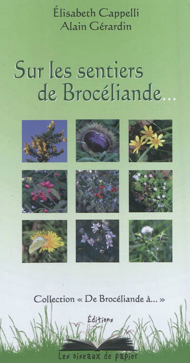 Sur les sentiers de Brocéliande