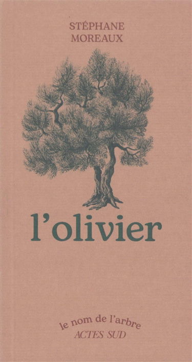 L'olivier