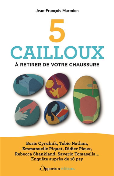 5 cailloux à retirer de votre chaussure : Boris Cyrulnik, Tobie Nathan, Emmanuelle Piquet, Didier Pleux, Rebecca Shankland, Saverio Tomasella... : enquête auprès de 18 psy