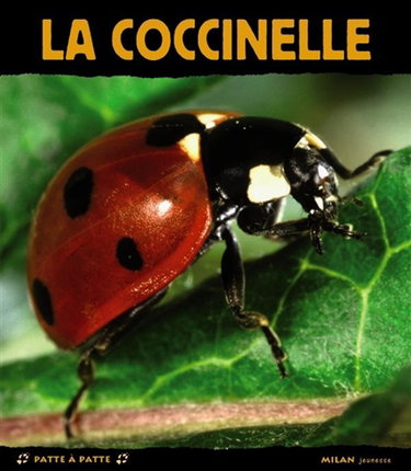 Couverture de La coccinelle : terreur des pucerons